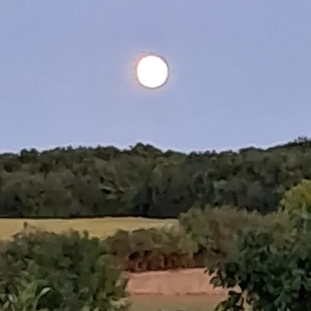 Modern One Bedroom Chalet